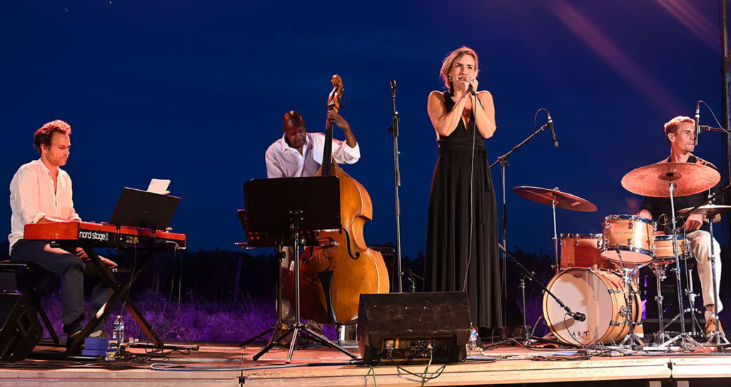 13 musicales vignes provence