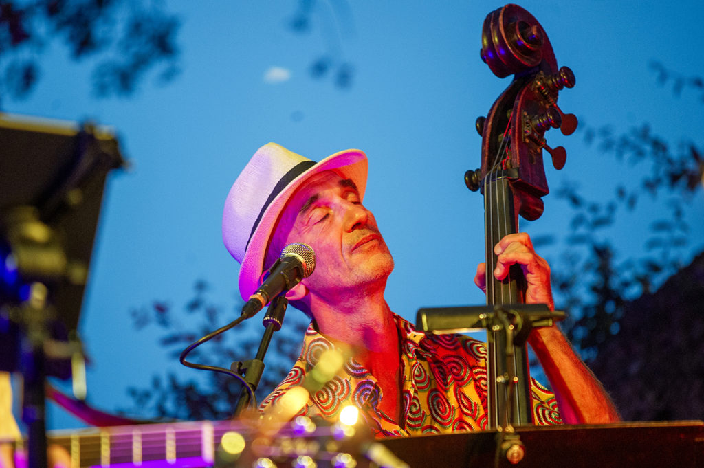 13 musicales vignes provence