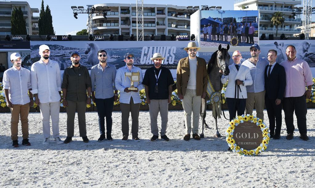 global champions arabians tour cannes