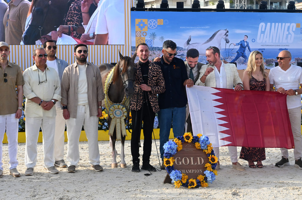 global champions arabians tour cannes