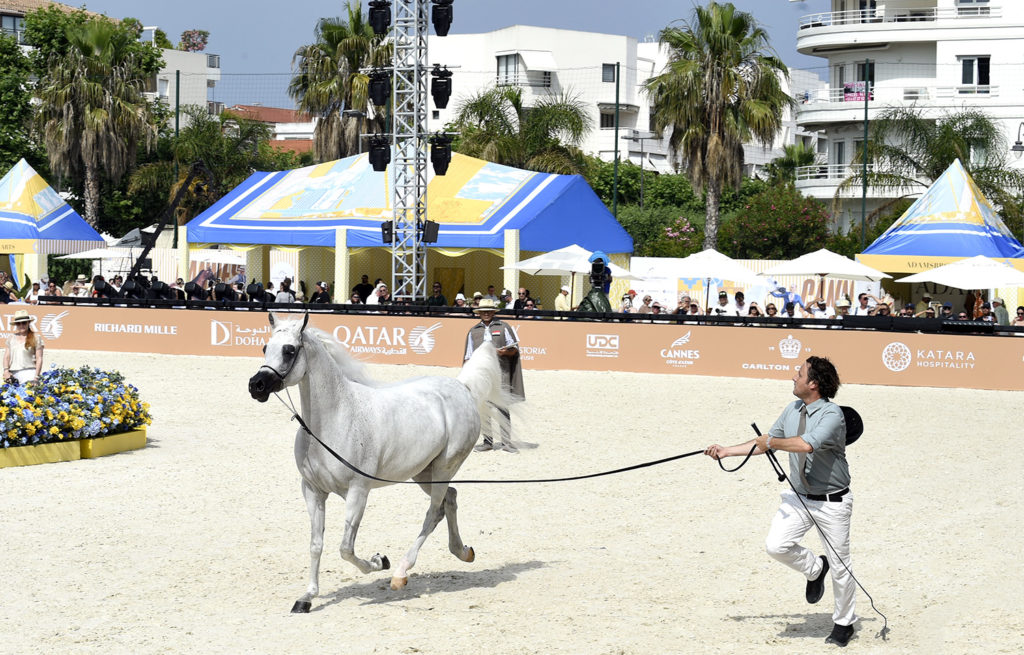 global champions arabians tour cannes