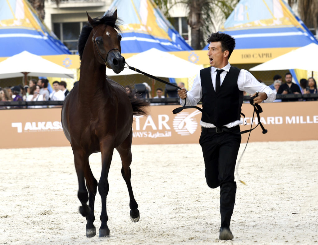 global champions arabians tour cannes