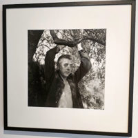 barbara hepworth andré ostier fondation maeght