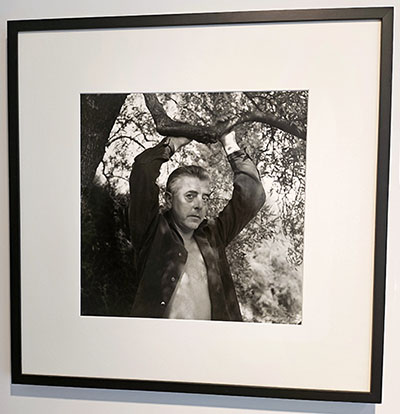 barbara hepworth andré ostier fondation maeght