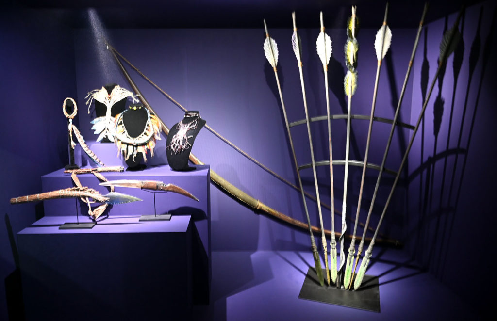 exposition james cameron cannes
