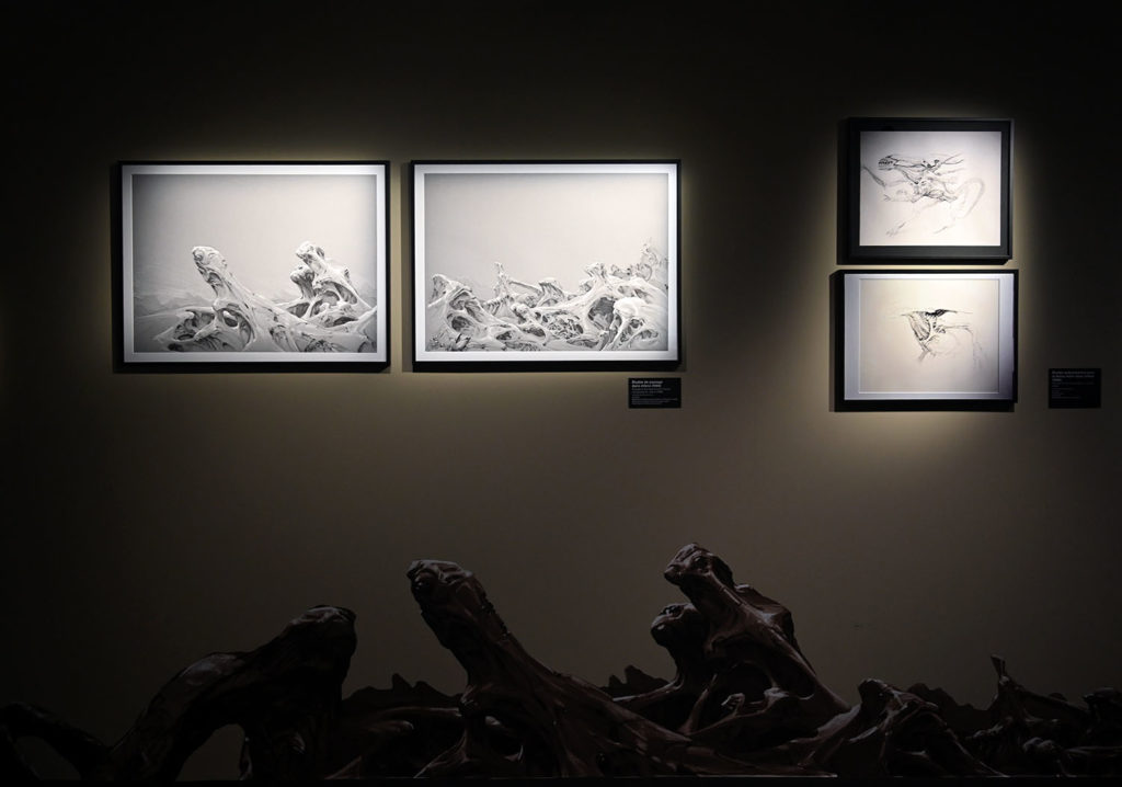 exposition james cameron cannes