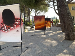 voyage au centre du raisin