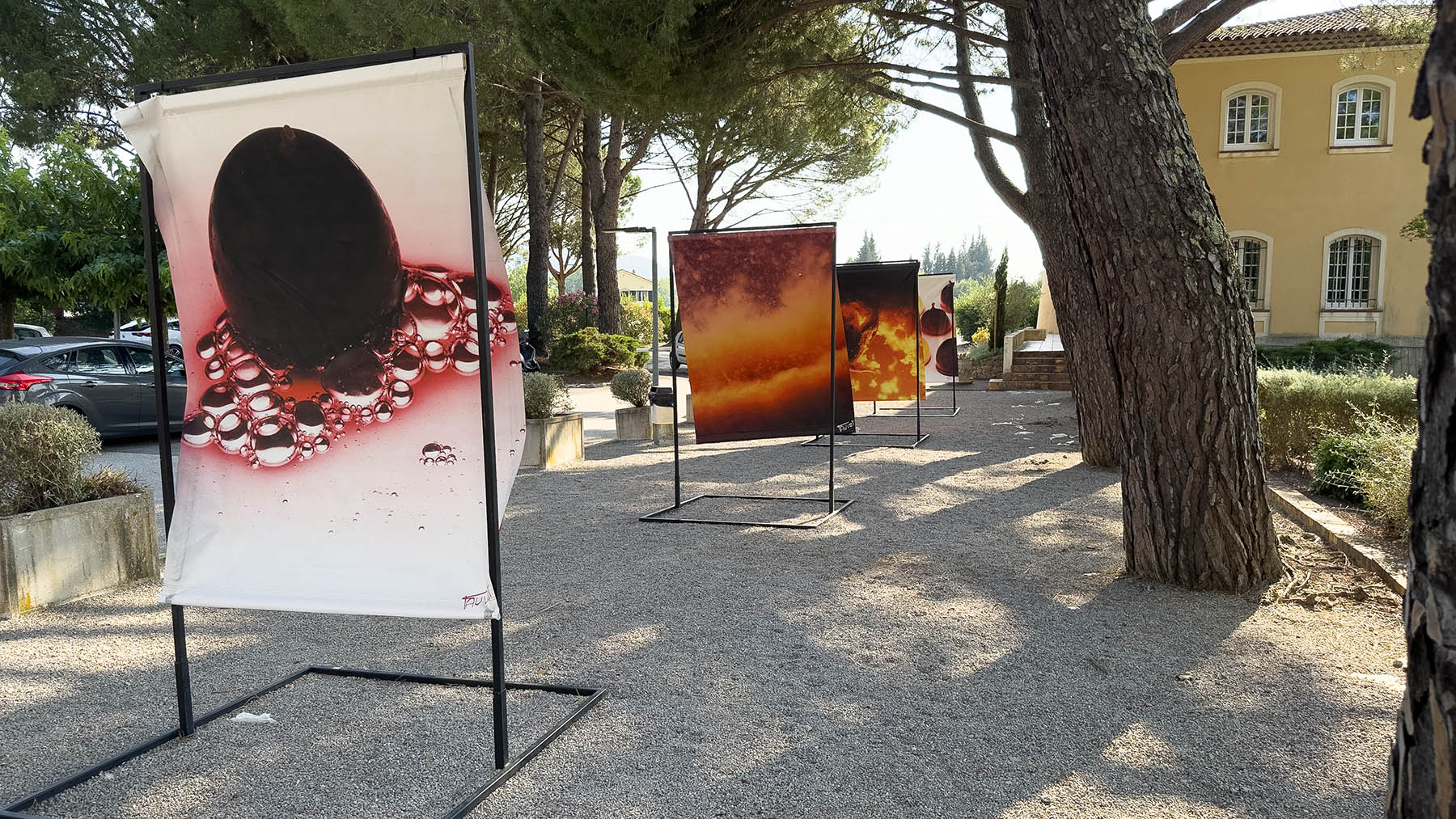 voyage au centre du raisin