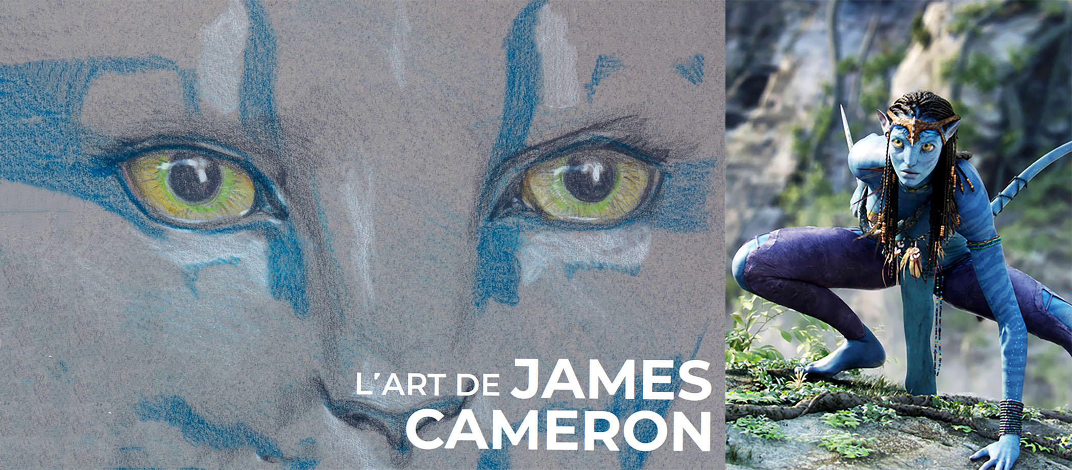 exposition james cameron cannes