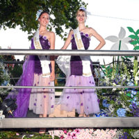 fête jasmin grasse joyau floral