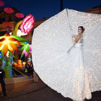 fête jasmin grasse joyau floral