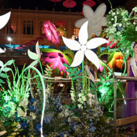 fête jasmin grasse joyau floral
