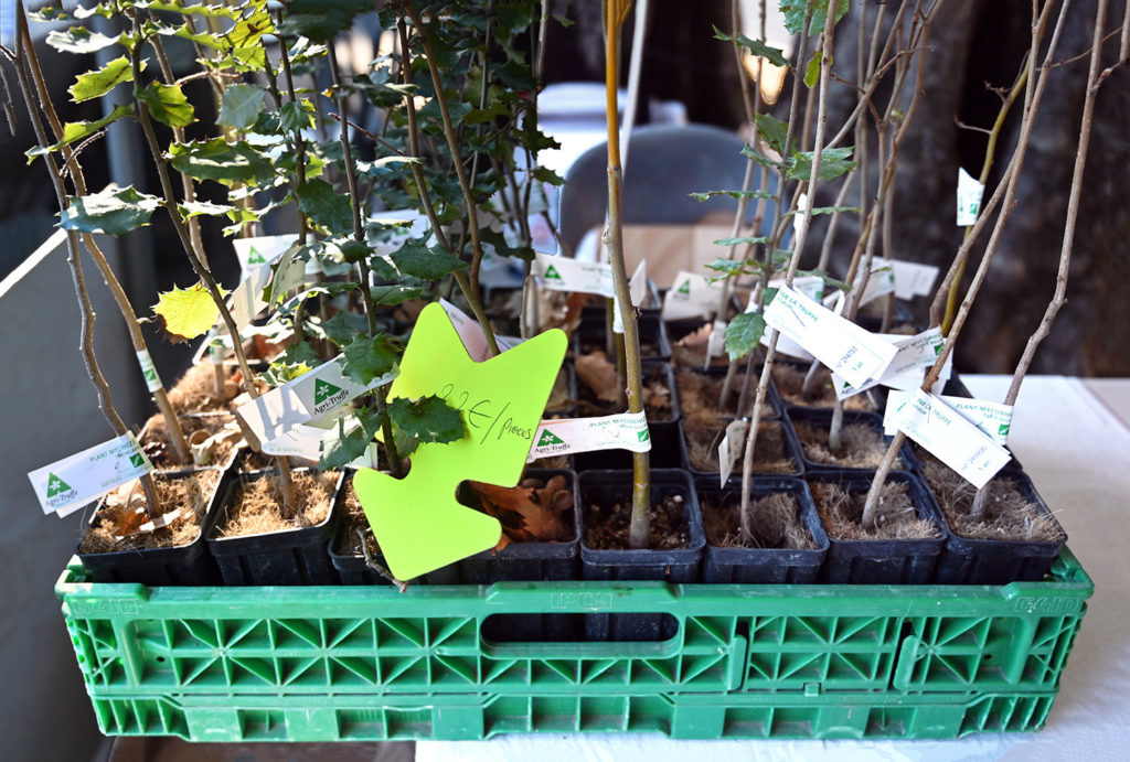 fête truffe 30 ans bastide saint antoine