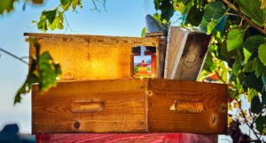 miel côte azur france