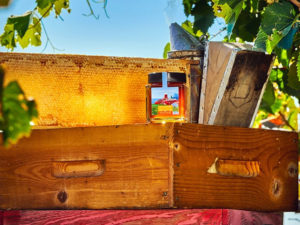 miel côte azur france