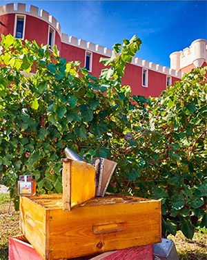 miel côte azur france