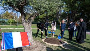 olivier pour ilan halimi