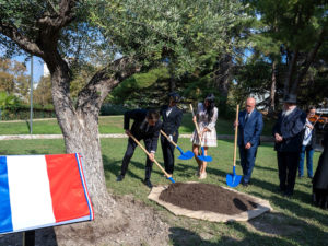 olivier pour ilan halimi