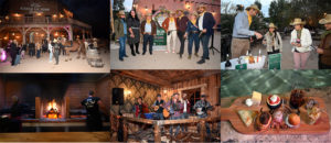 vignobles scène saveurs provençales