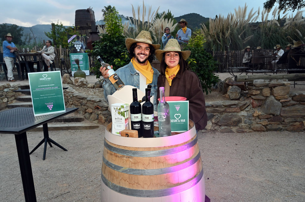 vignobles scène saveurs provençales