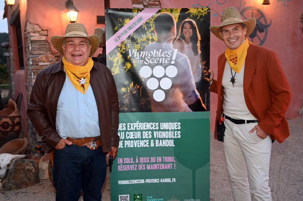 vignobles scène saveurs provençales