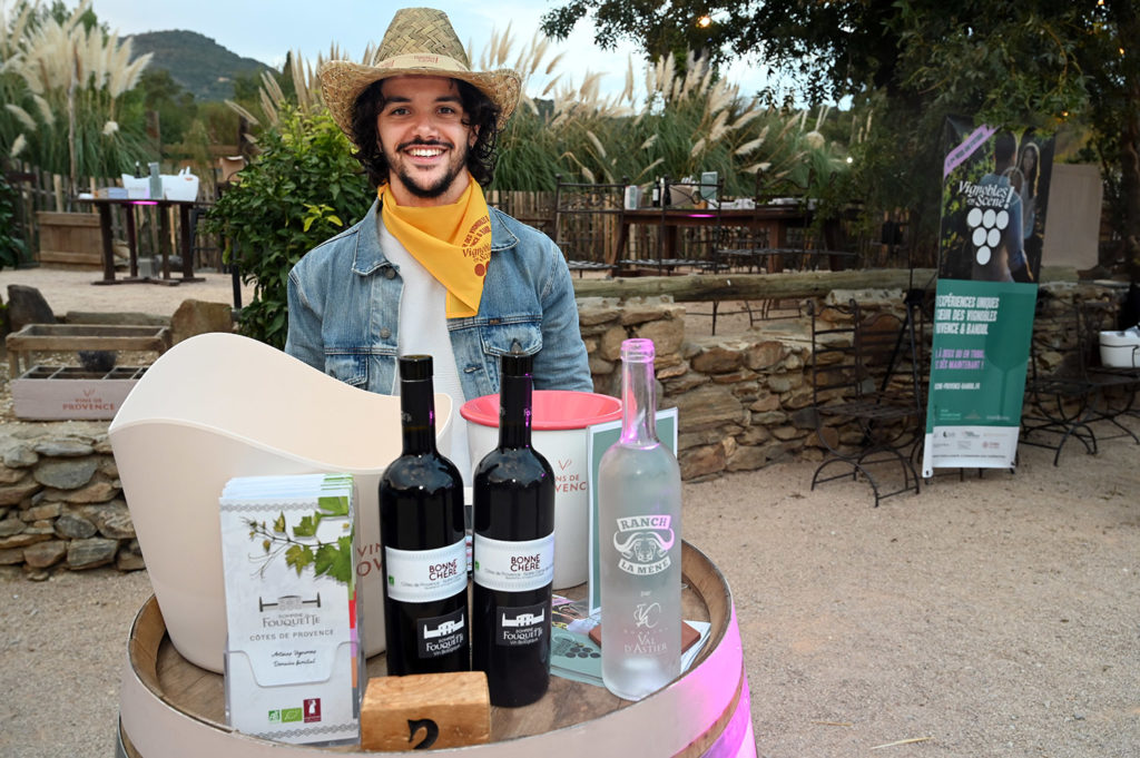 vignobles scène saveurs provençales
