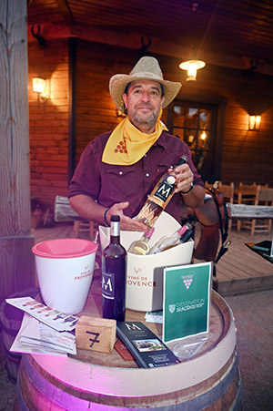 vignobles scène saveurs provençales