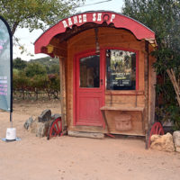 vignobles scène saveurs provençales