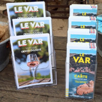 vignobles scène saveurs provençales