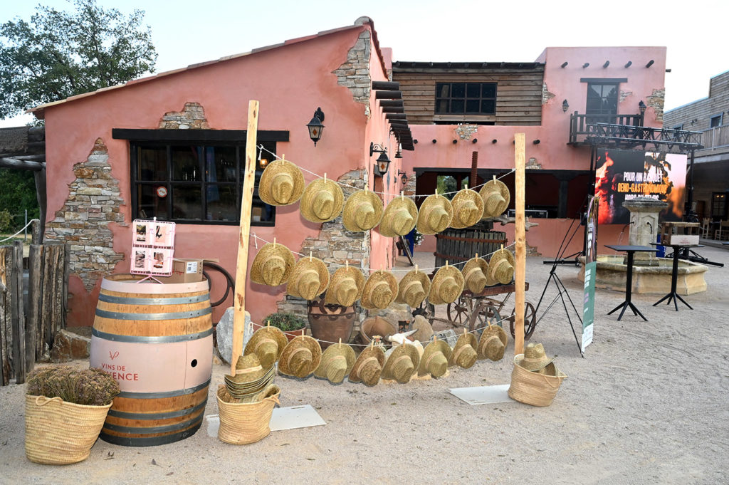 vignobles scène saveurs provençales