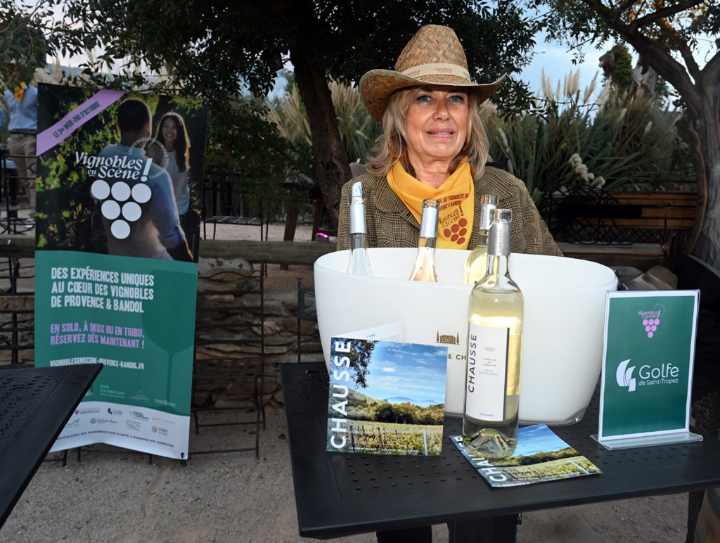 vignobles scène saveurs provençales