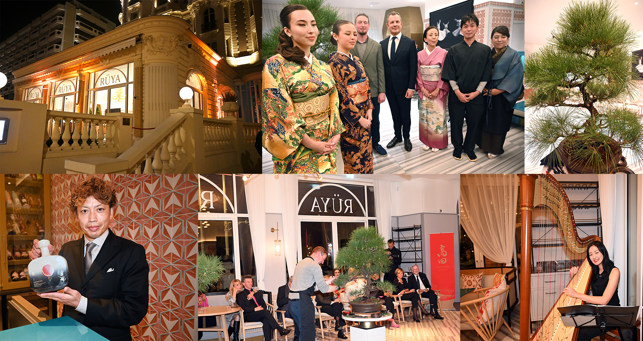 japon sinvite carlton cannes