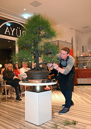 japon sinvite carlton cannes