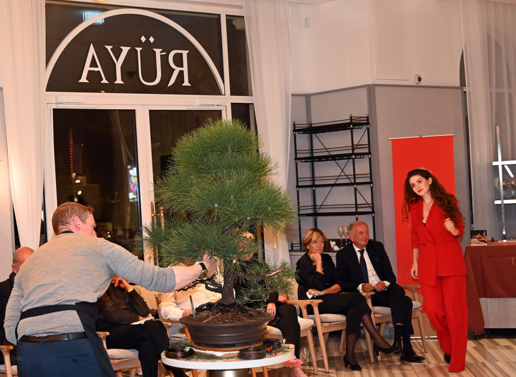 japon sinvite carlton cannes