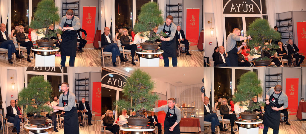 japon sinvite carlton cannes