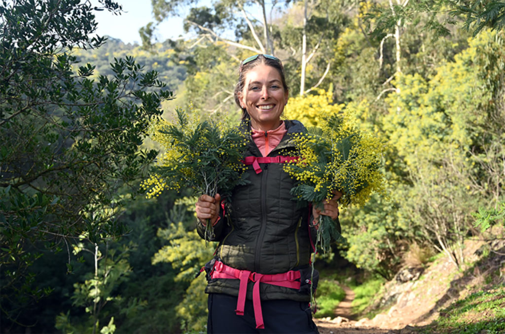 fête mimosa 2026 mandelieu