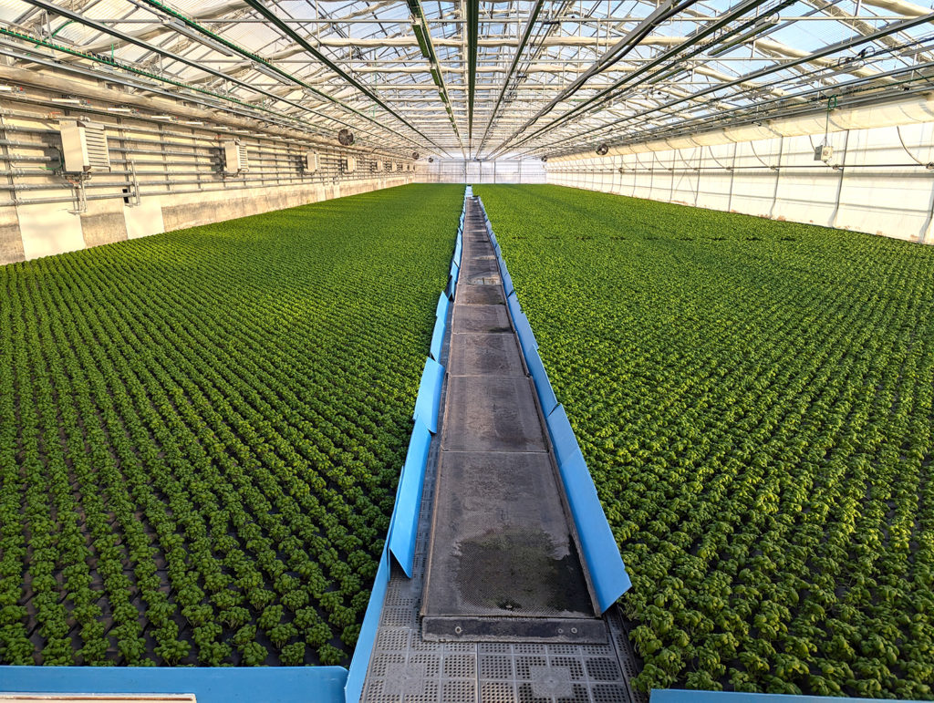 gênes élégance méditerranée