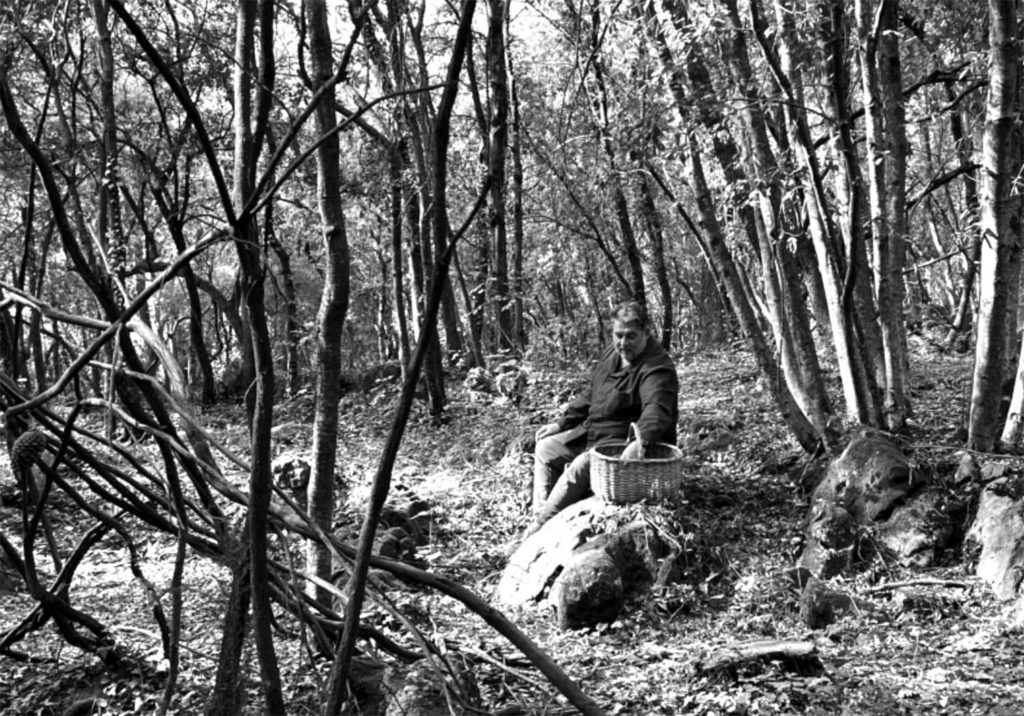 llorca fête etoiles livre chef