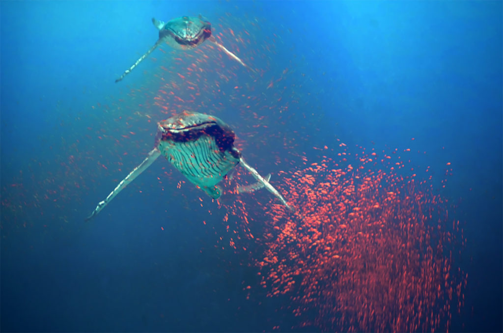 mon week end aux musées côte dazur