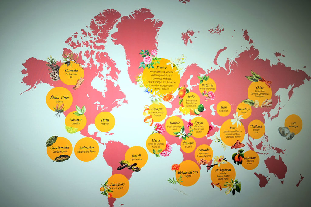 parfum grasse studio galimard