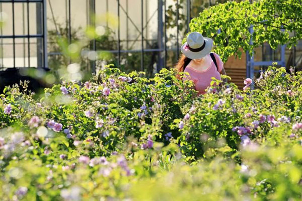 côte dazur cultive art de vivre