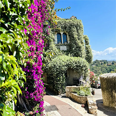 côte dazur cultive art de vivre