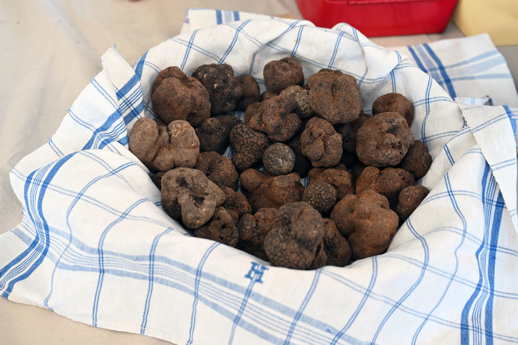 grasse truffe jacques chibois