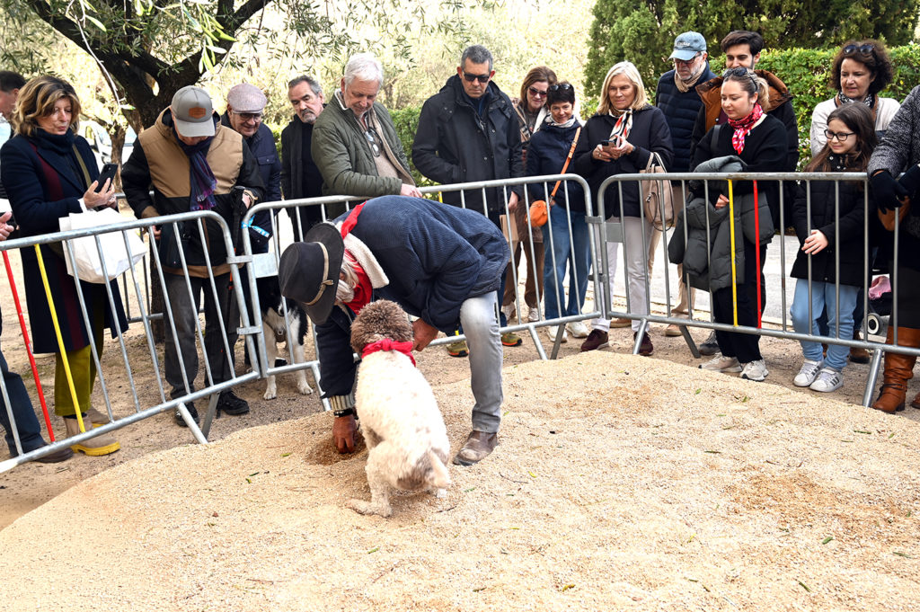 grasse truffe jacques chibois