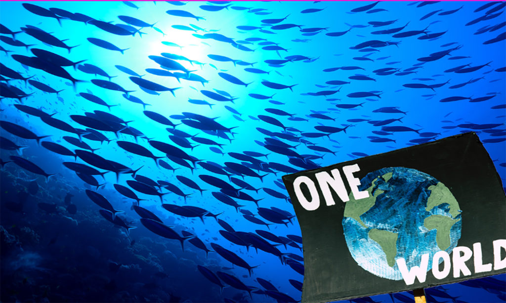 traité nice onu protège mer