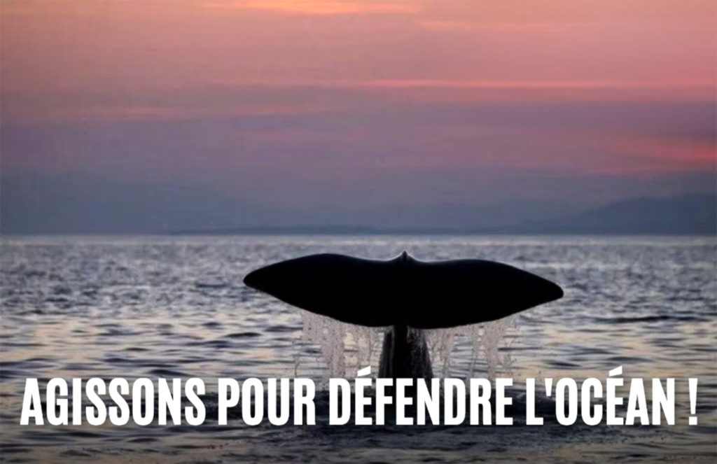 traité nice onu protège mer