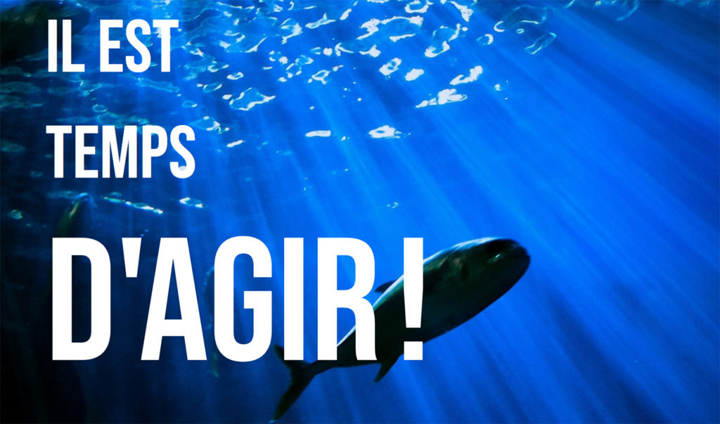 traité nice onu protège mer