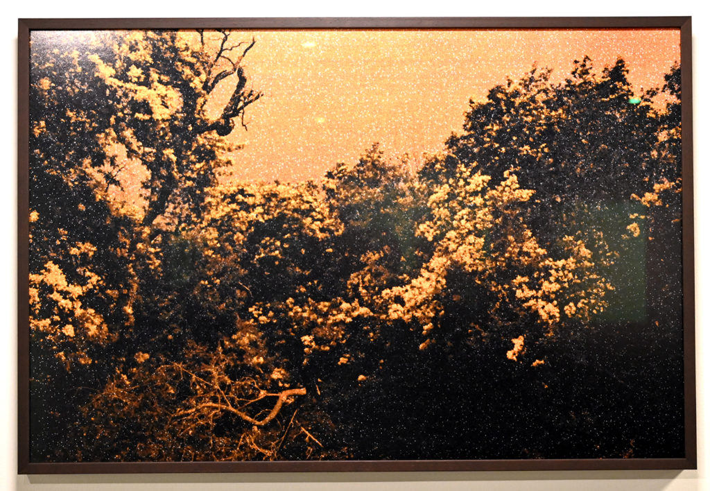 centre photographie mougins