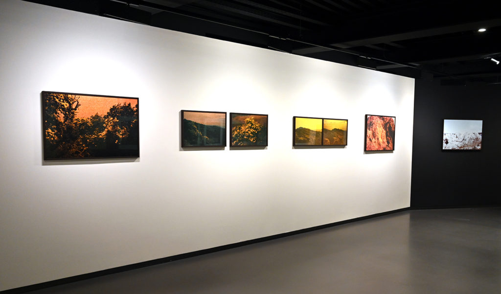 centre photographie mougins