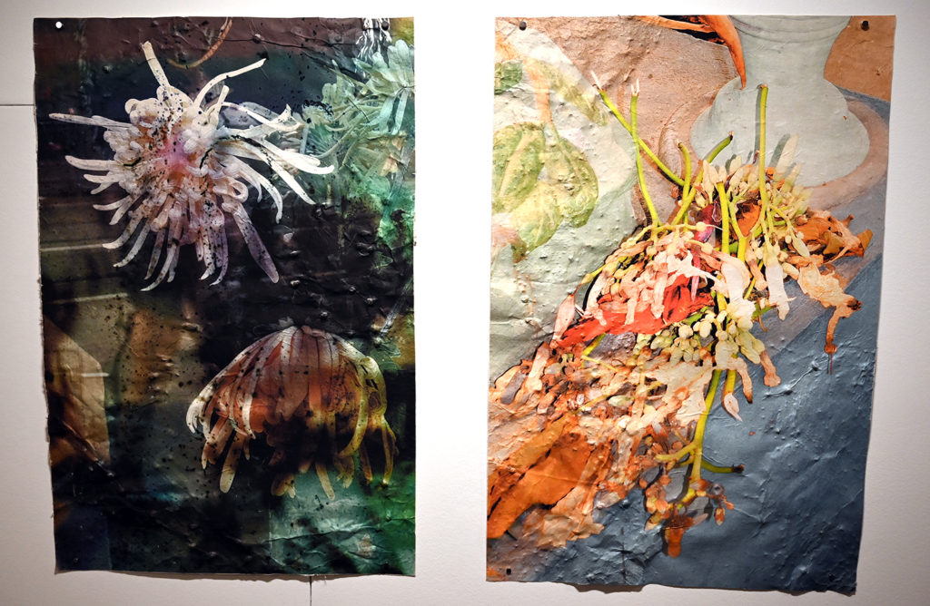 centre photographie mougins